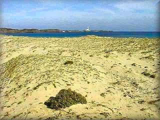 Quest'area dunale protetta è il limite tra il mare, la spiaggia e l'albufera di Cala Morella, nel cuore del parco naturale di Es Grao, vicino al Faro de Favaritx.