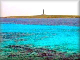 Der Leuchtturm auf der Isla del Aire; seine Isolation hat eine Art schwarze Eidechsen hervorgebracht, die einzigartig auf den Balearen sind. Er befindet sich gegenüber dem Strand von Punta Prima und es werden Bootsausflüge dorthin angeboten.